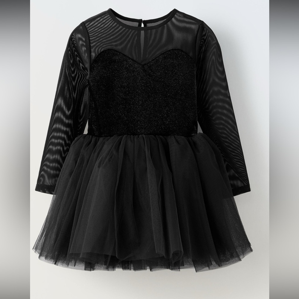 Zara Black swan Shimmer Kids Costume 
Halloween costume